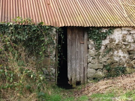 the old barn