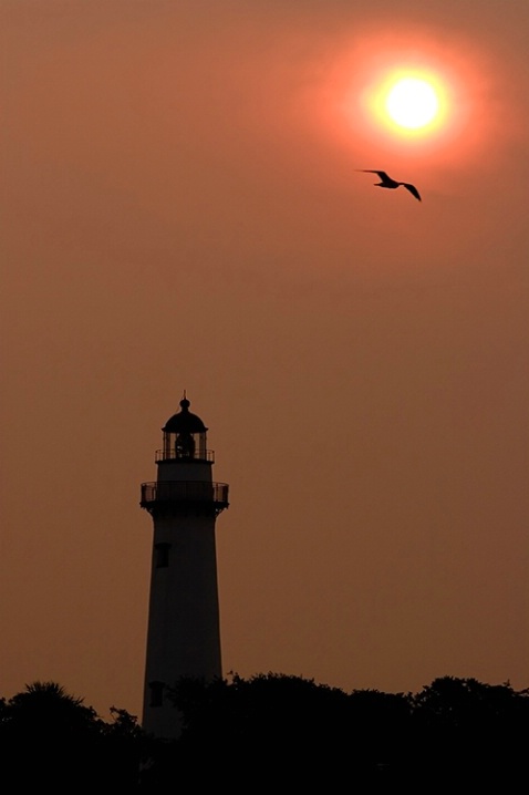 Lighthouse - St. Simons Island 8-10-07 - ID: 5659146 © Robert A. Burns