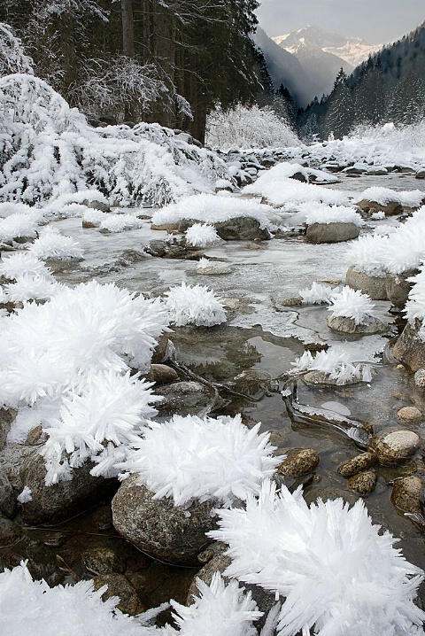 valley_of_ice_flowers