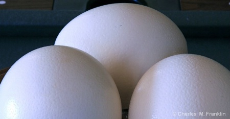 Up close and personal with 3 ostrich eggs. I felt 