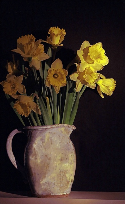 Daffodils