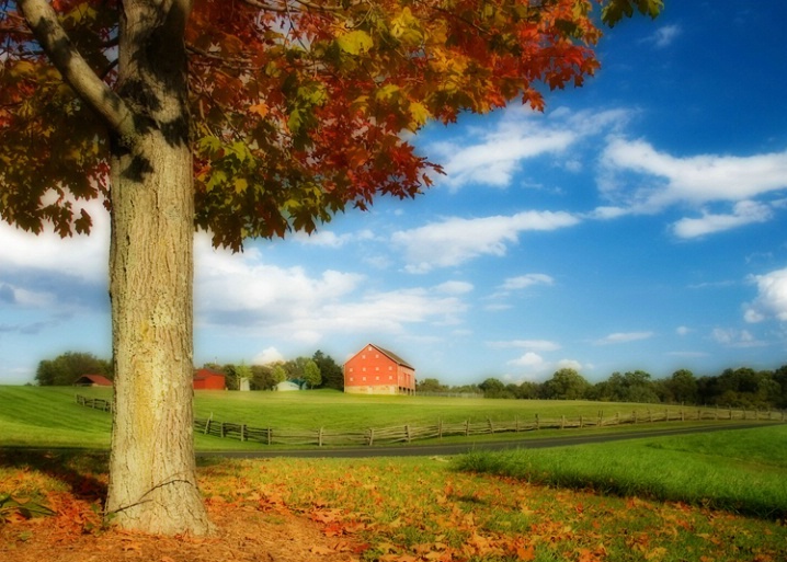 Red Barn in Autumn