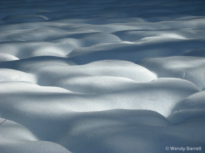 Backyard snow fields - ID: 5685047 © Wendy A. Barrett