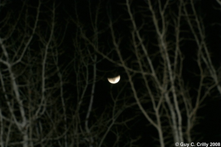 Lunar Moon through Aspen