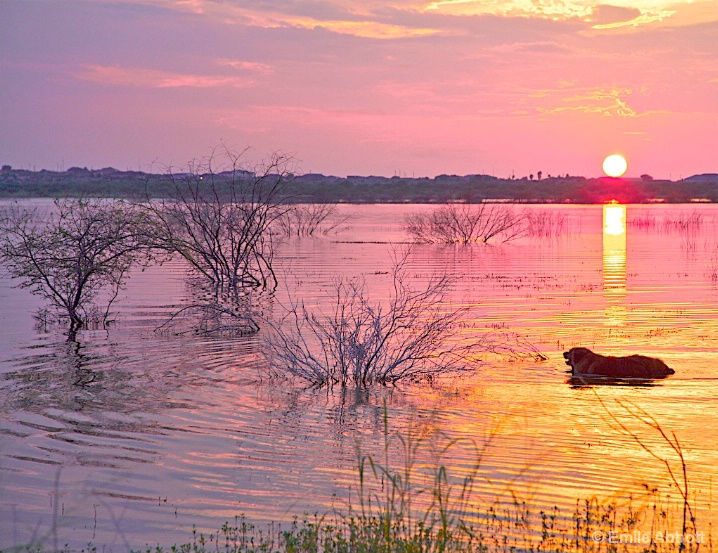 The sun always sets on Brandy - ID: 5698399 © Emile Abbott