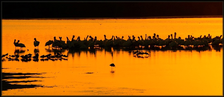 Another Captiva Sunset