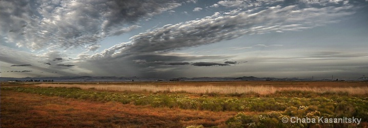 Wetland!