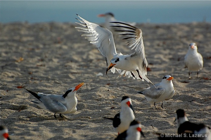 Victorious Re"tern"