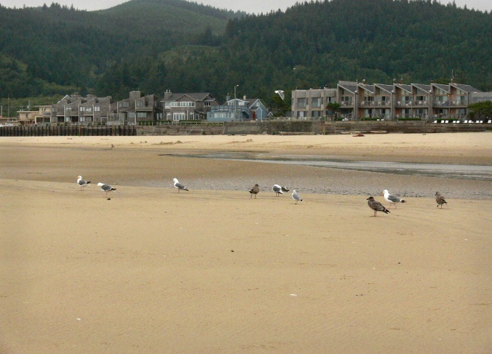 Cannon Beach in the morning