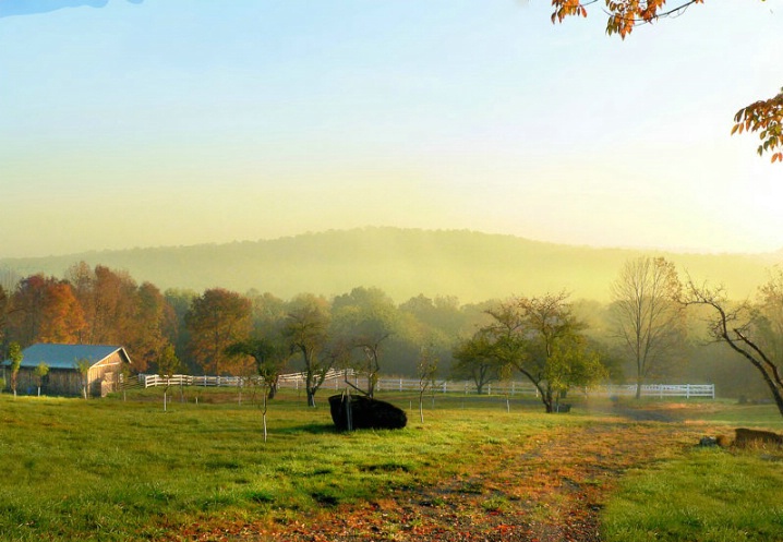 Another Country time evening