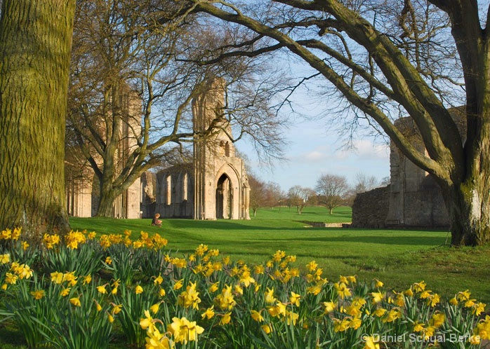 Glastonbury Abbey