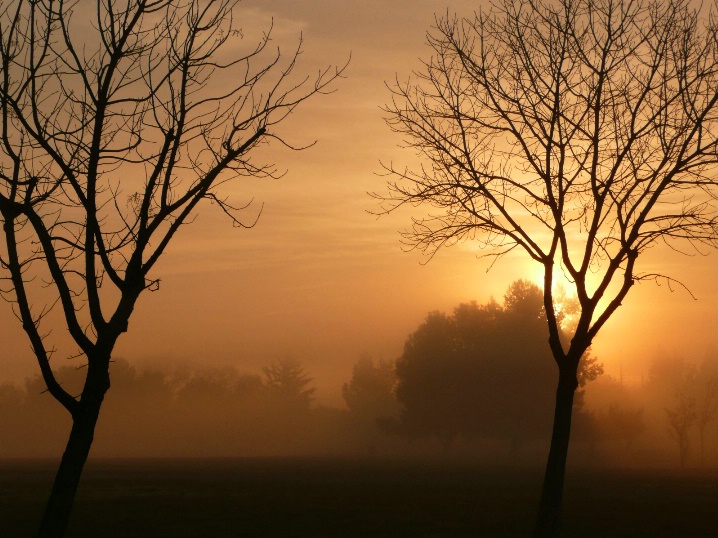 Mystical Foggy Morning