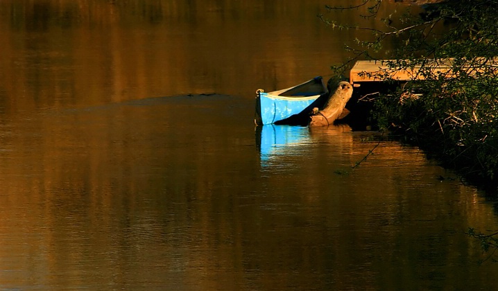 Credit River Canoe