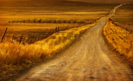 Long Dusty Road