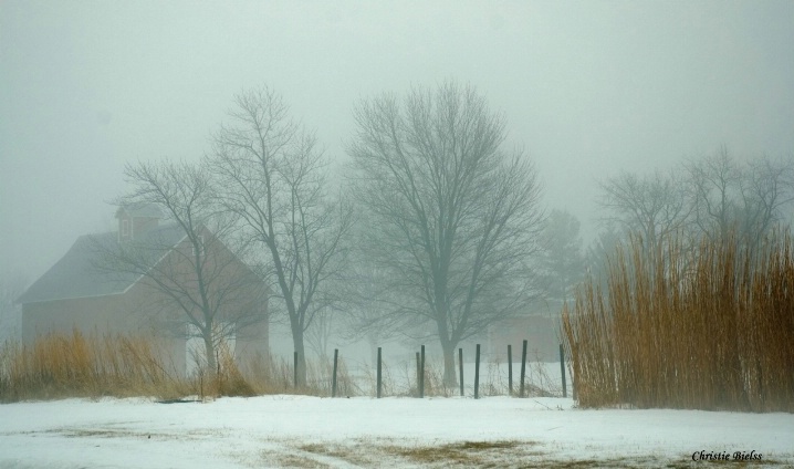 Prairie Winter (L)