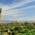 2Desert Landscape - ID: 5746790 © Sherry Karr Adkins