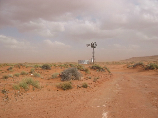 Sand Storn NM. - ID: 5750005 © Richard L. Smith