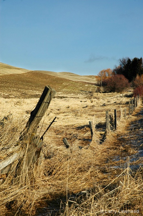 Fence Line