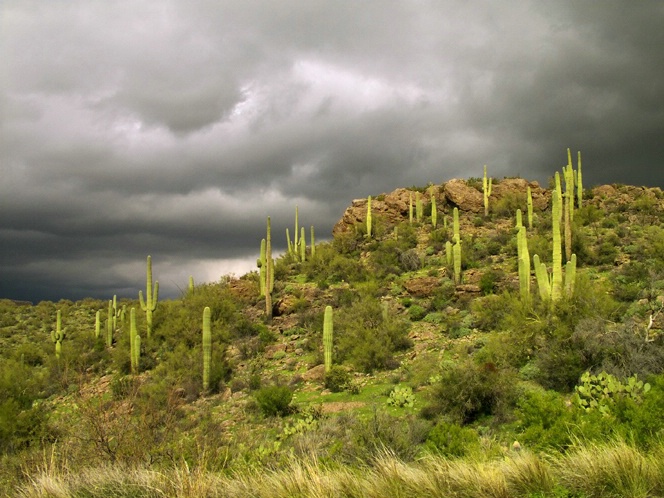 Just North of Phoenix - ID: 5752426 © Richard L. Smith