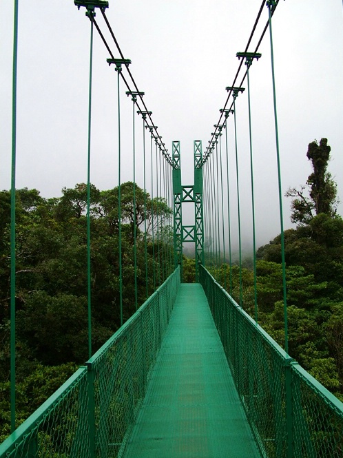 Tree Top Walk Way Costa Rica - ID: 5754001 © Richard L. Smith