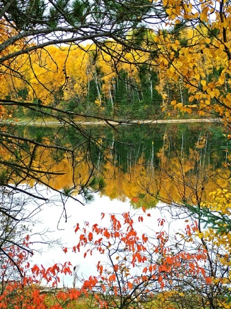 Minnesota Fall Color