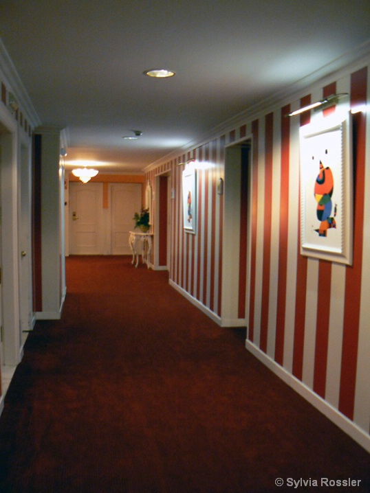 Hotel corridor II