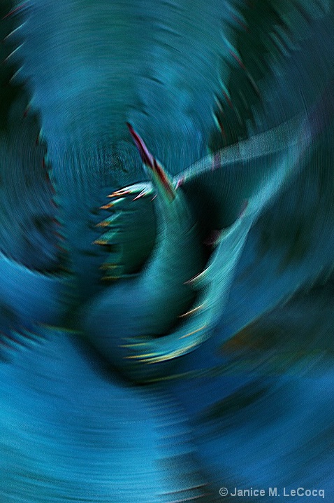 blurred_century_sharpened_copy - ID: 5769674 © Janice M. LeCocq
