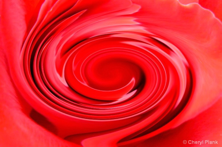 Red Rose Twirl