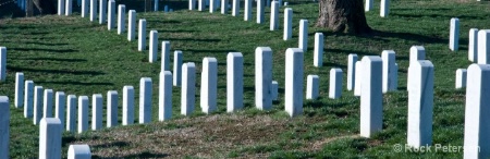 (DeAnne's) Arlington Ntl Cemetery 