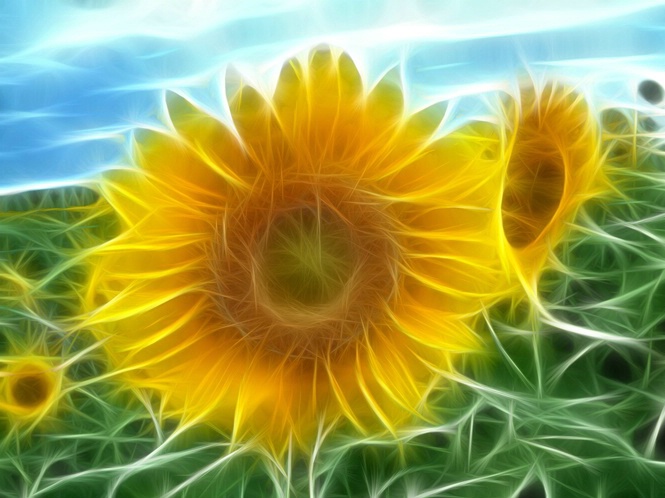 Electric Sun Flower