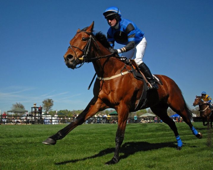 Steeplechase Stretch