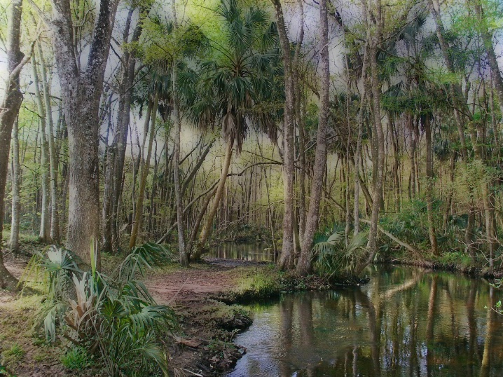 Florida's Past