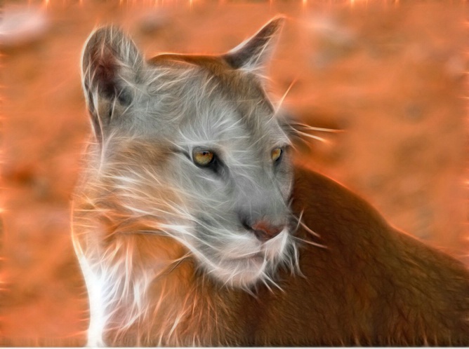 Altered Cougar 4 - ID: 5781912 © Richard L. Smith