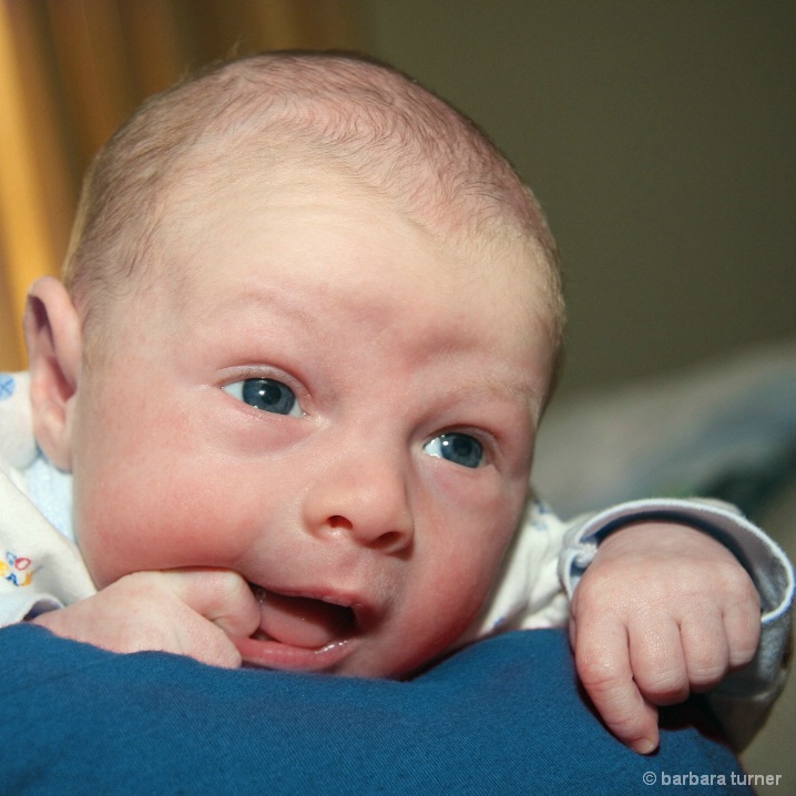 Baby Logan - ID: 5784197 © BARBARA TURNER
