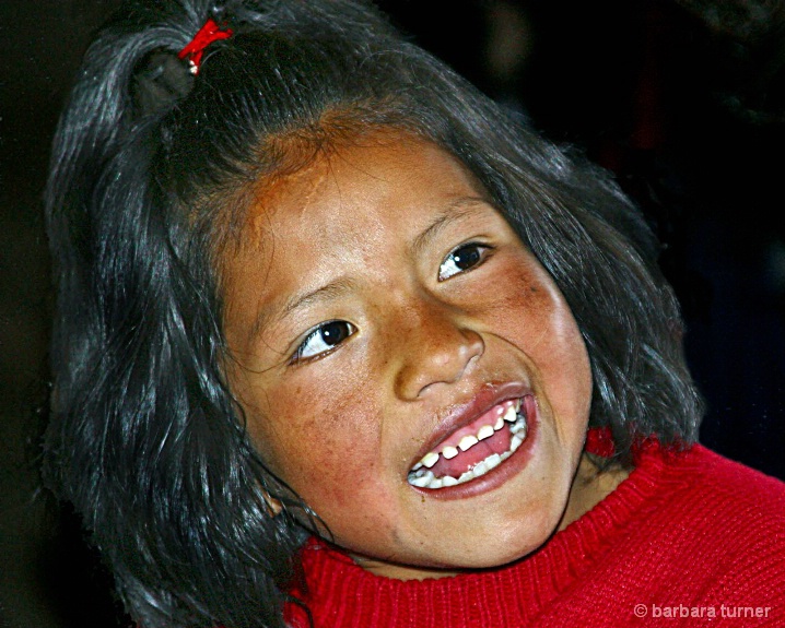 peruvian school girl - ID: 5784198 © BARBARA TURNER