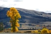 Lamar Valley
