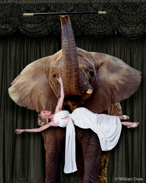 Timbo Floats Tippi - ID: 5793249 © William Dow