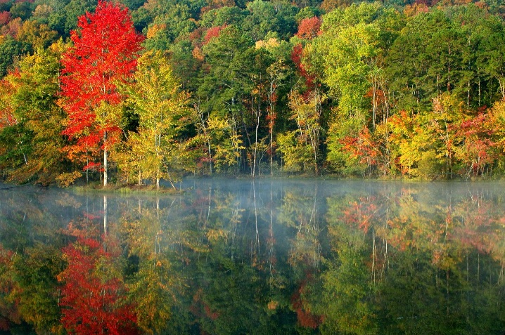 An Autumn Pond.