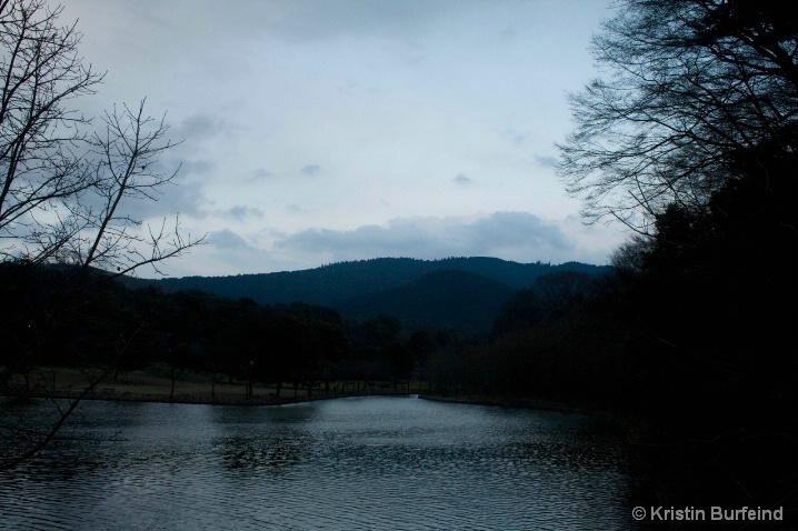 Pond in Nara Park at Dusk