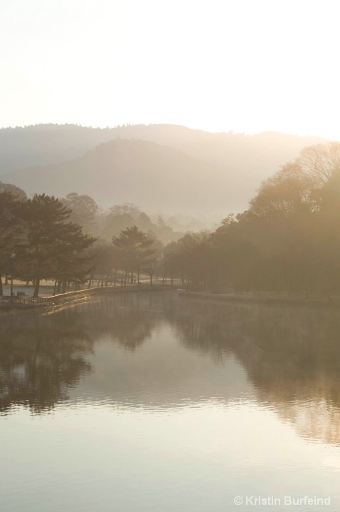 Pond in Nara Park at Dawn
