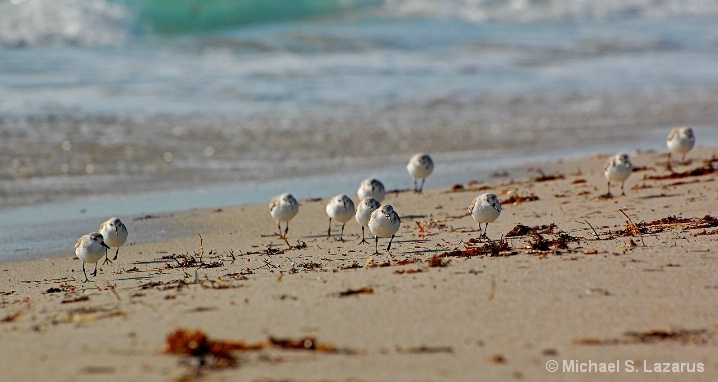 Pipers On Patrol