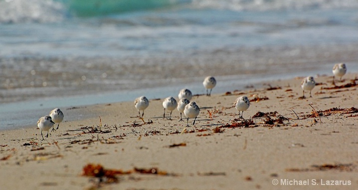 Pipers On Patrol