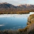 © Patricia A. Casey PhotoID # 5806134: Imperial Wildlife Refuge