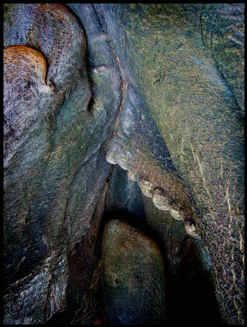 Tree detail