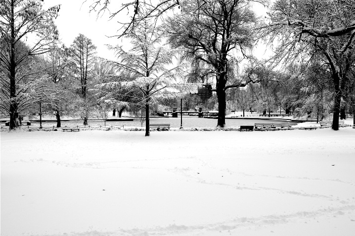 After the snowfall - Boston Public Garden