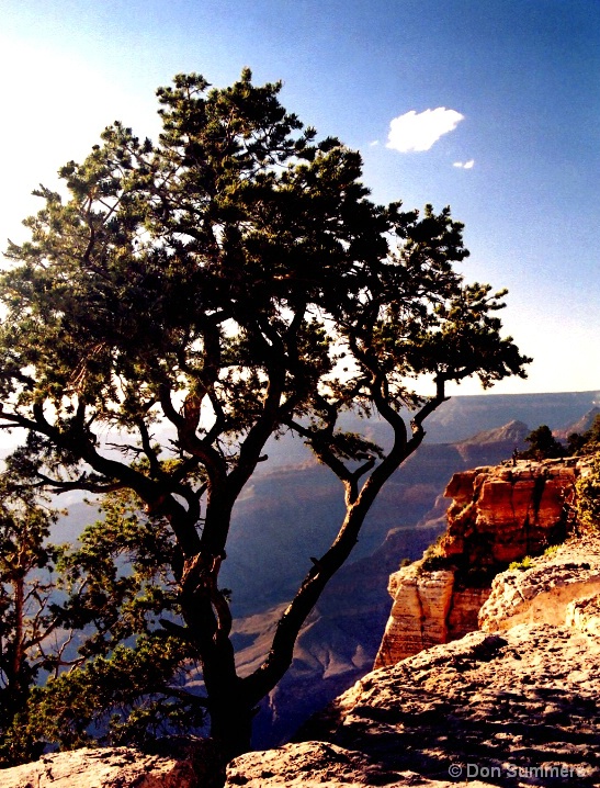 The Grand Canyon, AZ 2006 - ID: 5823703 © Donald J. Comfort