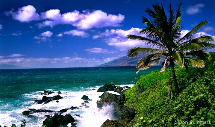 Wilea Bay, Maui, HI 2003 - ID: 5850304 © Donald J. Comfort