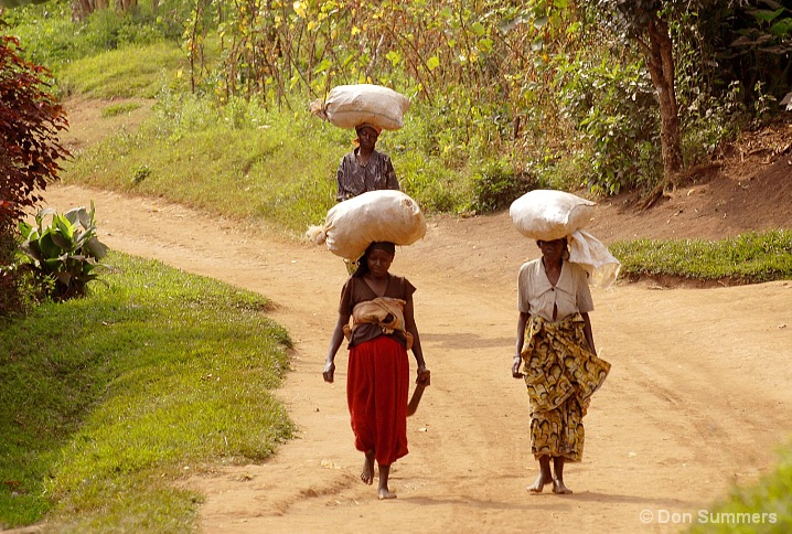 Carrying The Food, Butare, Rwanda 2007 - ID: 5852158 © Donald J. Comfort