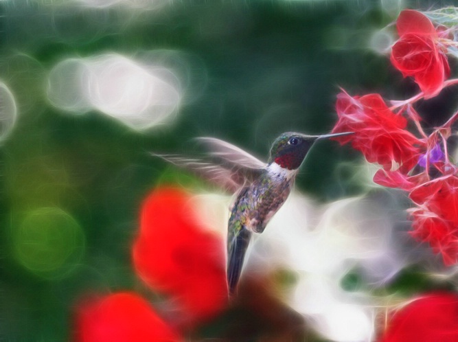 Fractalius Hummer