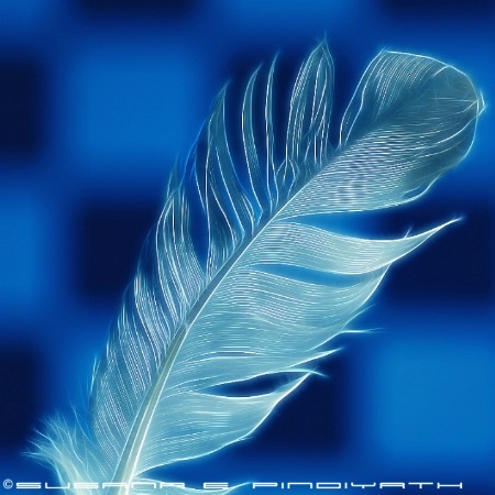 Silver Feather